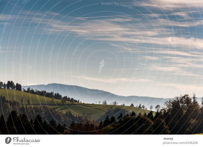 Abends im Schwarzwald Stimmung Erholung Hügel Wiese Landschaft Natur Ausflug schön Wald Sommer Schönes Wetter ästhetisch Baum Berge u. Gebirge Ferne Tourismus