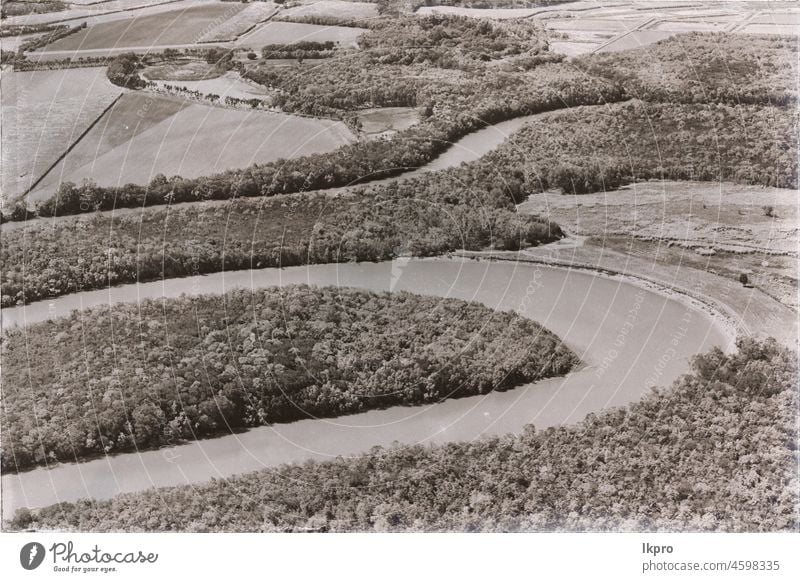 aus dem hohen Feld der Kolutivierung Ansicht hoch Antenne Winkel Top Ernte Bauernhof grün Ackerbau Natur Mais oben Land Landschaft Pflanze Gras Landwirtschaft