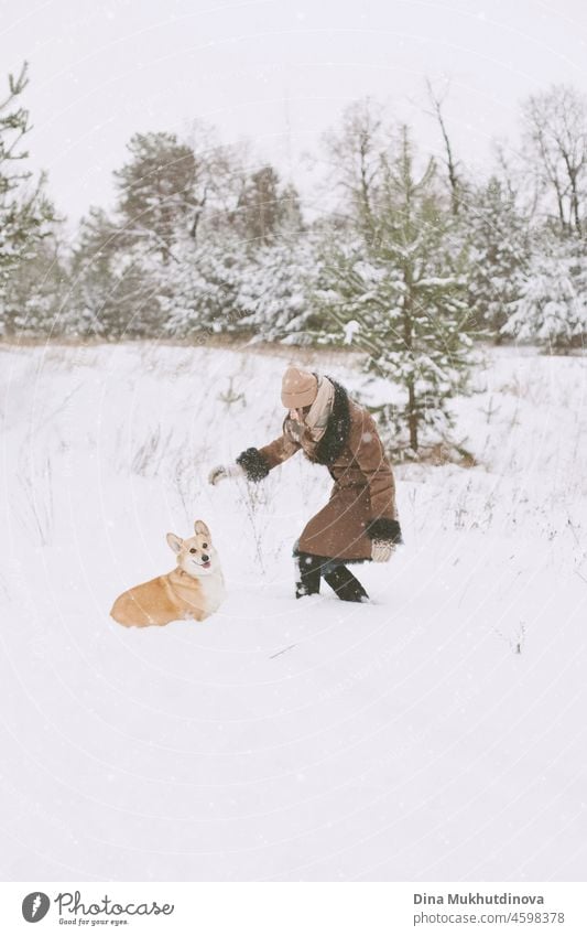 Frau spielt mit ihrem Corgi-Hund im Winterwald im Schnee am Wochenende weiß Spaß Kaukasier aktiv Person Haustier laufen Fröhlichkeit Freude außerhalb