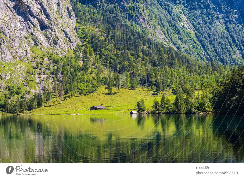 Blick auf den Obersee im Berchtesgadener Land in Bayern See Fischunkelalm Baum Alpen Gebirge Berg Felsen Wald Landschaft Natur Almhütte Sommer Sehenswürdigkeit