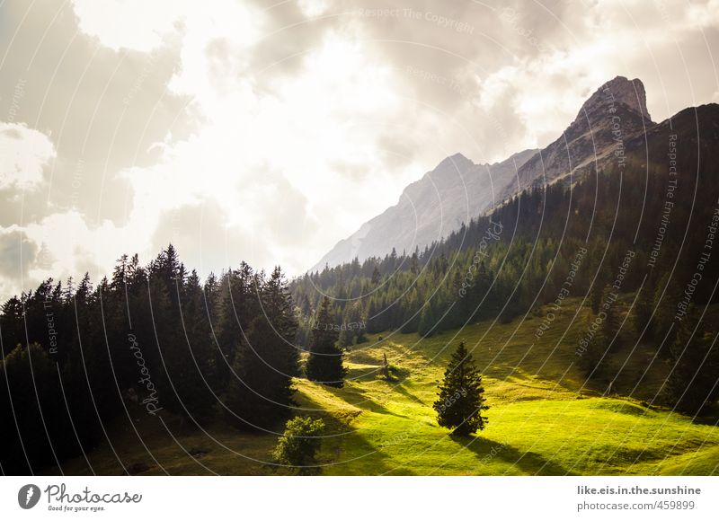 HALLO, goldener herbst Sinnesorgane Erholung ruhig Ferien & Urlaub & Reisen Ausflug Ferne Freiheit Sommerurlaub Berge u. Gebirge wandern Umwelt Natur Landschaft