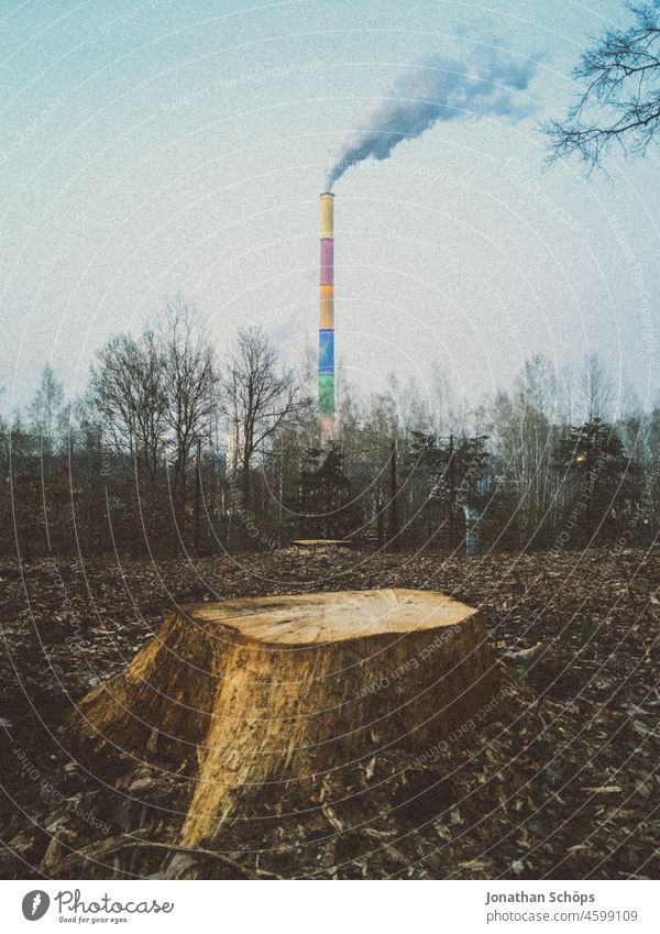 Baumstumpf von gefälltem Baum vor Schornstein mit Rauch von fossilem Kraftwerk Waldrodung Winter Baumfällung Baumstamm Natur Außenaufnahme kalt Farbfoto Umwelt