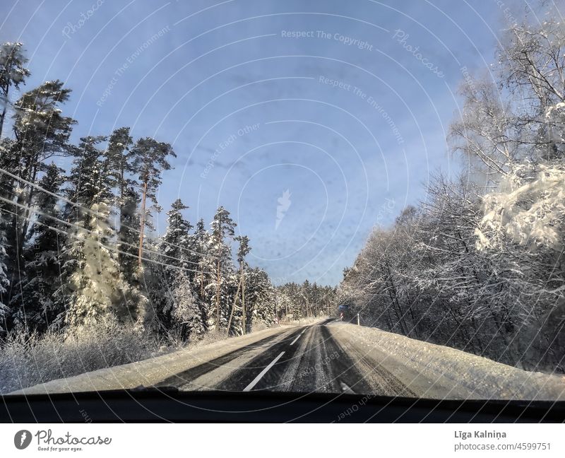 Blick durch das Autofenster Winter Winterstimmung Schnee Wintertag Wetter Dezember Kälte kalt Wintereinbruch Frost Klima frieren Winterlicht weiß Winterwald