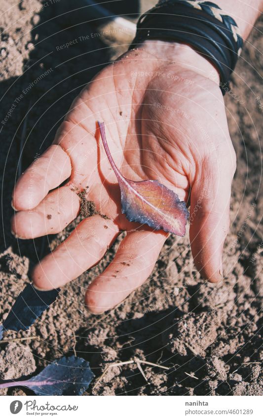 Mann hält Blätter von seiner Ernte in den Händen Sprossen Lebensmittel Bepflanzung Landwirtschaft bis bearbeitet Boden Erde Pflanzen organisch Biografie