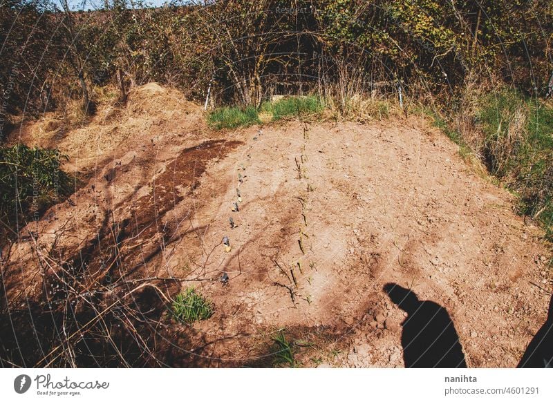 Bauernschatten beim Anblick seines Gemüsegartens Sprossen Lebensmittel Ernte Bepflanzung Landwirtschaft bis bearbeitet Boden Erde Pflanzen organisch Biografie