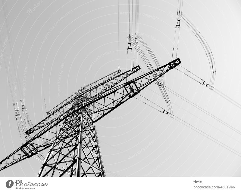 Reinheitsgebot | grünes Versprechen strommast stromversorgung energiewirtschaft lebensenergie turm kabel hoch kraft gefährlich lebensnotwendig technik