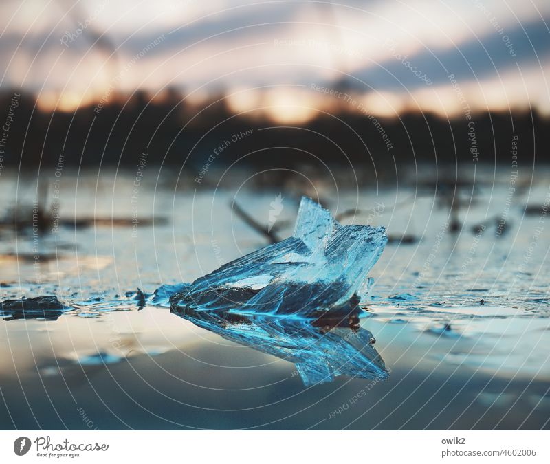 Gletscherschmelze Eis Stück klein nah Winter gefroren Pfütze kalt Frost Außenaufnahme Menschenleer Farbfoto Wasser Tag Natur Nahaufnahme Eisstruktur Kälte