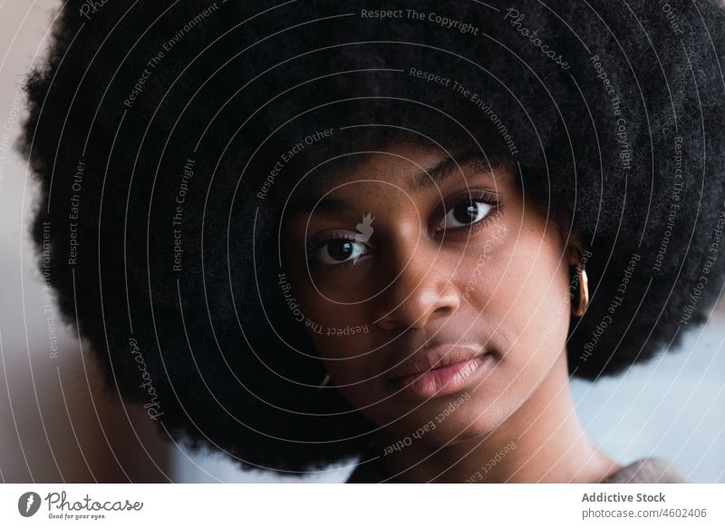 Schwarze Frau mit Afrofrisur Afro-Look Vorschein feminin Frisur charmant brünett ernst attraktiv Stil ethnisch schwarz emotionslos Afroamerikaner Charme