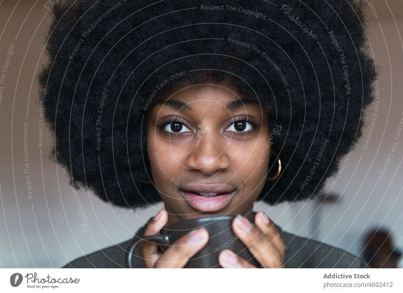 Positive schwarze Frau mit Heißgetränk Tasse Getränk Kaffee Afro-Look feminin Frisur verträumt Lächeln Vorschein Glück charmant brünett attraktiv heiter Inhalt