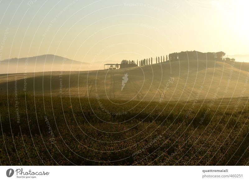 Junimorgen im Val D'Orcia Ferien & Urlaub & Reisen Tourismus Sommer Natur Landschaft Sonnenaufgang Sonnenuntergang Schönes Wetter Nebel Feld Hügel Toskana