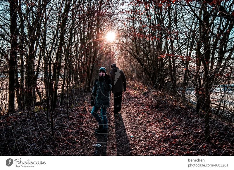 tierliebe | pssssst mami, du störst die rehe!!! verträumt Märchenhaft geheimnisvoll Wege & Pfade Gegenlicht Sonnenstern schön Sonnenlicht Fußweg Farbfoto