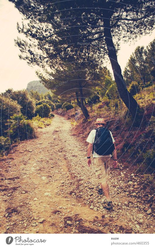 Wandertag Freizeit & Hobby Ferien & Urlaub & Reisen Tourismus Sommer Insel wandern Mensch maskulin Mann Erwachsene 1 30-45 Jahre Umwelt Natur Landschaft