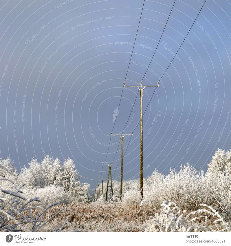 Wintertraum - eine Reihe von Strommasten - rechts und links Sträucher und Bäume mit Raureif Natur Landschaft Taumwetter verzauberte Landschaft Raureif am Morgen