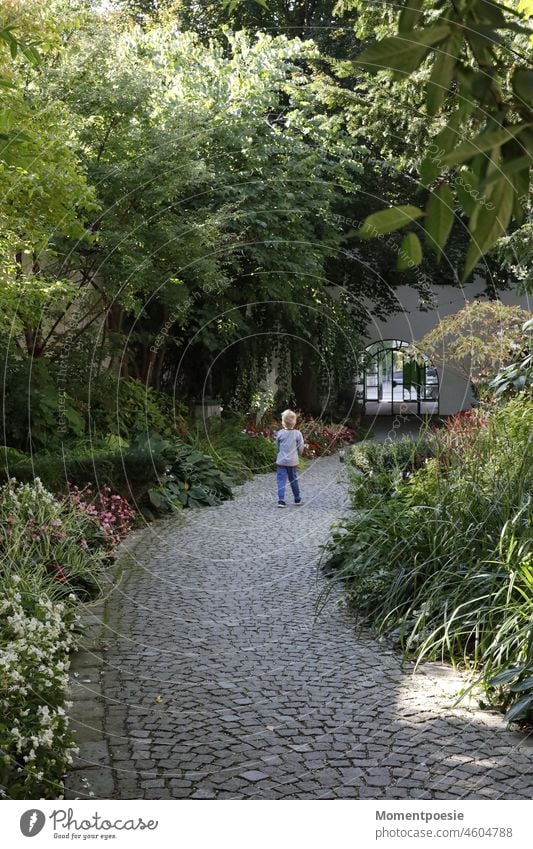 Junge geht einen Weg entlang Park gehen Bäume schön Blumen Pflanzen Natur erkunden entdecken Pflastersteine seinen weg gehen blond Kind Kindheit Freiheit frei