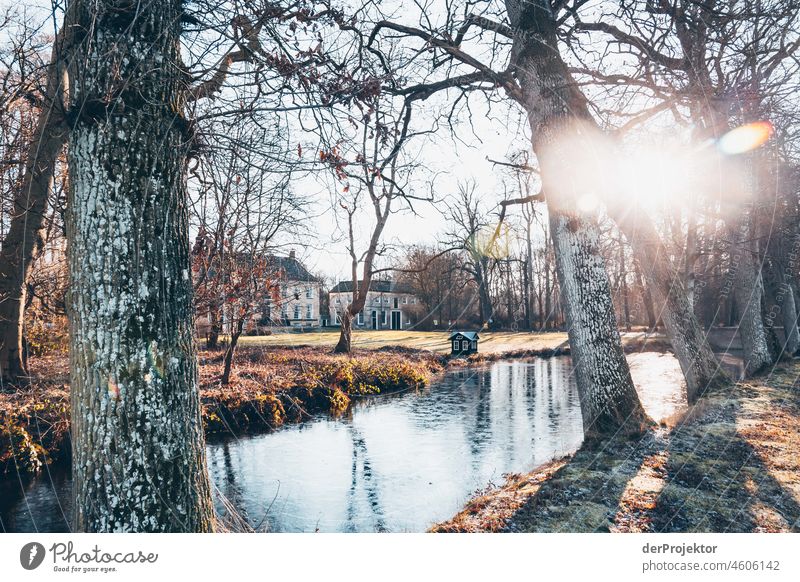 Sonniger Tag mit Blick auf historischen Bauten in Fogelsanghstate Schilfgras Schilfrohr gefroren Eis Sonnenaufgang Küste Winter friesland Niederlande Baumstamm