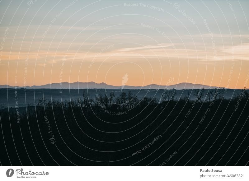 Sonnenaufgang Landschaft Sonnenaufgangslandschaft Winter Natur Baum Sonnenuntergang Himmel Morgendämmerung Außenaufnahme Farbfoto Sonnenstrahlen Sonnenlicht