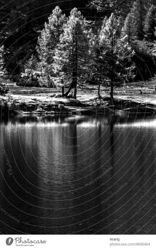 Düstere Aussichten am Duisitzkarsee. See Herbst Wald Natur wandern Ausflug Tourismus Landschaft Reflexion & Spiegelung Ferien & Urlaub & Reisen Menschenleer