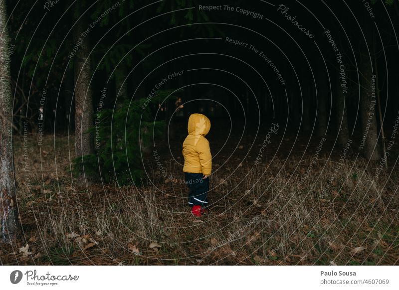 Kind mit gelber Kapuzenjacke im Wald stehend Rückansicht 1-3 Jahre authentisch Winter Außenaufnahme Mensch Tag Farbfoto Kindheit Spielen Natur Herbst Wälder