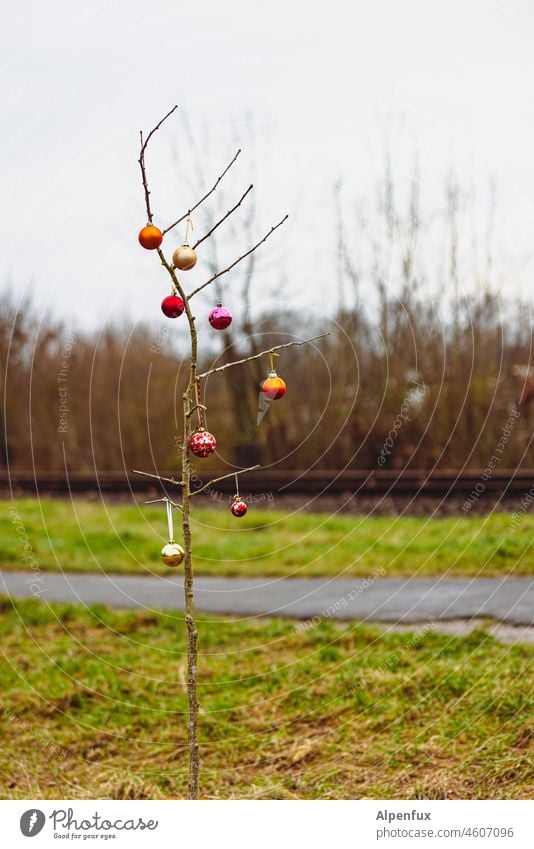 Selig sind die Minimalistischen Weihnachtsbaum Weihnachten & Advent sparsam Sparsamkeit minimalistisch Minimalismus Weihnachtsdekoration Farbfoto Baum