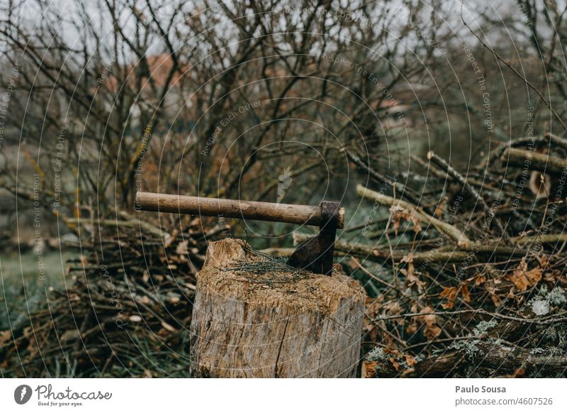 Axt und Brennholz Winter Textfreiraum oben Wald Holz Außenaufnahme Farbfoto Tag Baum Natur braun Holzstapel Umwelt Landschaft Stapel Forstwirtschaft