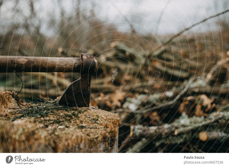 Axt und Brennholz Winter Holz Außenaufnahme braun Farbfoto Baum Baumstamm Natur Tag Wald Forstwirtschaft Abholzung Umwelt Stapel Holzstapel Nutzholz