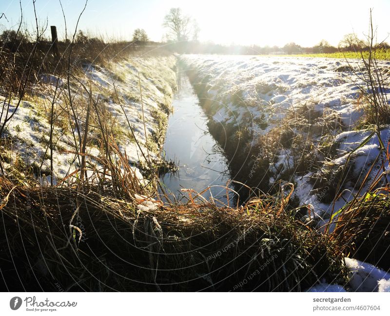 Spalter Raureif Winter kalt sonnig Fluss Bach Rinnsal Feld Schnee Schneelandschaft gerade schnurgerade Gräser Kante Ufer Landschaft Frost Natur Eis