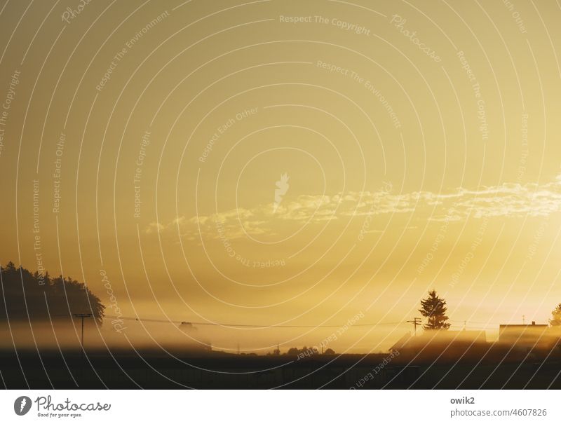 Morgengabe Landschaft Horizont Dorf Schönes Wetter Himmel Sonnenaufgang Silhouette Sonnenlicht Kontrast Schatten Licht Morgendämmerung Menschenleer Herbst Nebel