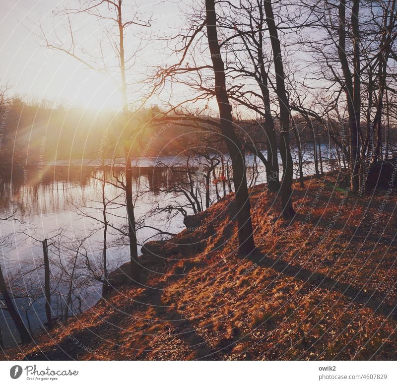 In Anbetracht Landschaft Sonnenlicht Natur Sonnenstrahlen Kontrast Gegenlicht Schatten Umwelt Licht Textfreiraum unten Farbfoto Abend zurückziehen