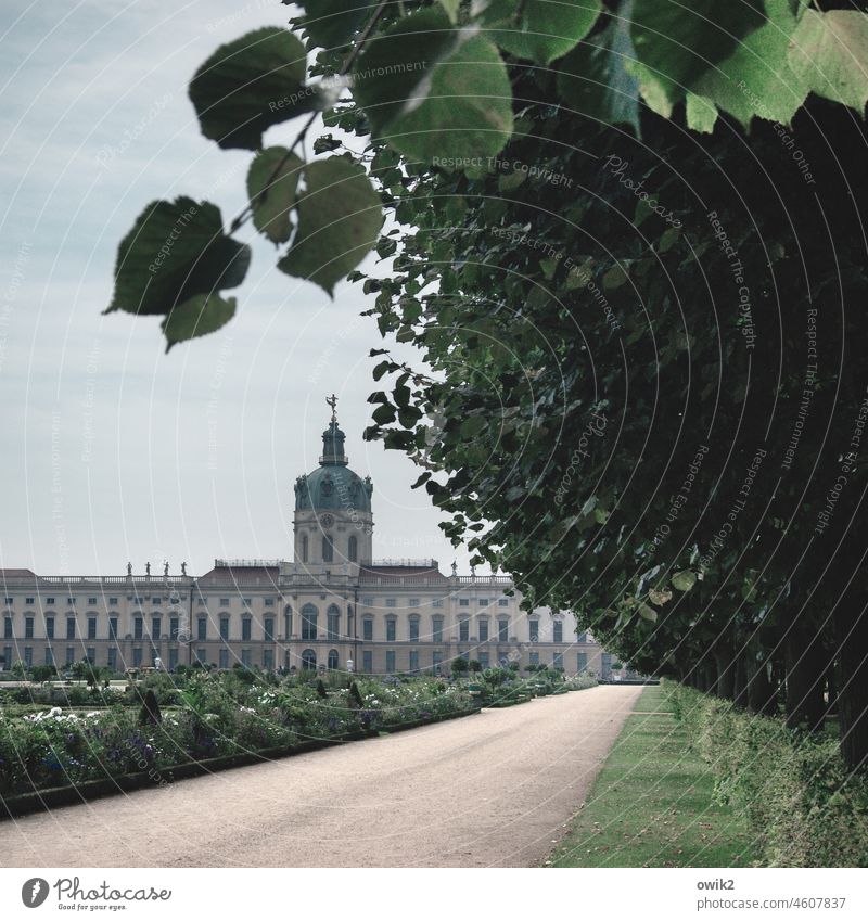 Scharlottenburg Berlin Historische Bauten Schloss Charlottenburg Sehenswürdigkeit Wahrzeichen Architektur Bauwerk Burg oder Schloss Vergangenheit Park Farbfoto