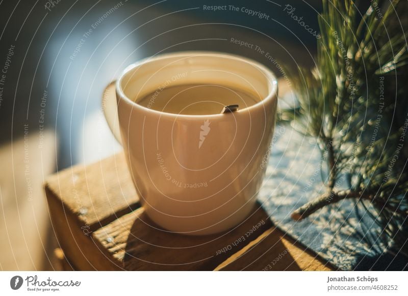 Eine weiße Tasse Kaffee auf einer Holzkiste im sonnendurchfluteten Zimmer trinken Getränk warm heiß Winter Tannenzweig reisig Sonnenlicht Gegenlicht Raum