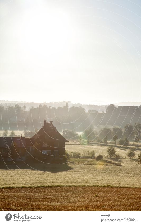 Bauernhaus Umwelt Natur Landschaft Himmel Sonne Herbst Schönes Wetter natürlich gold Landwirtschaft Haus Farbfoto Außenaufnahme Menschenleer Textfreiraum oben