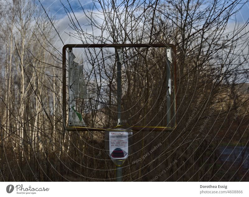 Durchblick leerer Rahmen draußen Natur Wildwuchs Urwald Außenaufnahme Gesträuch Gestrüpp Landschaft naturbelassen Farbfoto Tag verloren