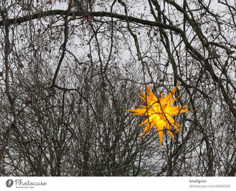 Weihnachtsstern Stern (Symbol) Weihnachten & Advent leuchten Stern von Bethlehem Zacken Herrnhuter Stern Licht Dezember weihnachtlich heimelig