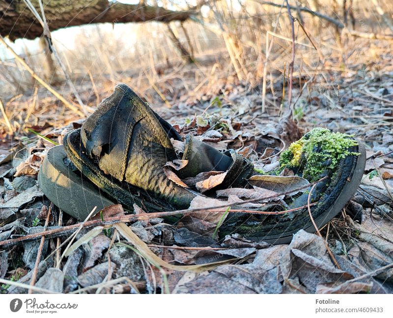 Lost Schuh. Vermisst den jemand? Ich weiß, wo er zu finden ist. Schuhe Bekleidung alt Moos Herbstlaub frostig gefroren Gestrüpp lost kaputt Vergänglichkeit