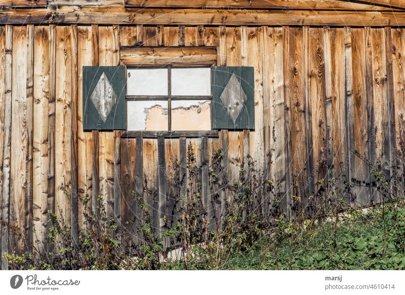 Fake news. Die Aussicht war so bescheiden, dass das Fenster seine Funktion nicht erfüllen durfte. Bretterwand Holz Wand Fassade Idylle braun Holzwand