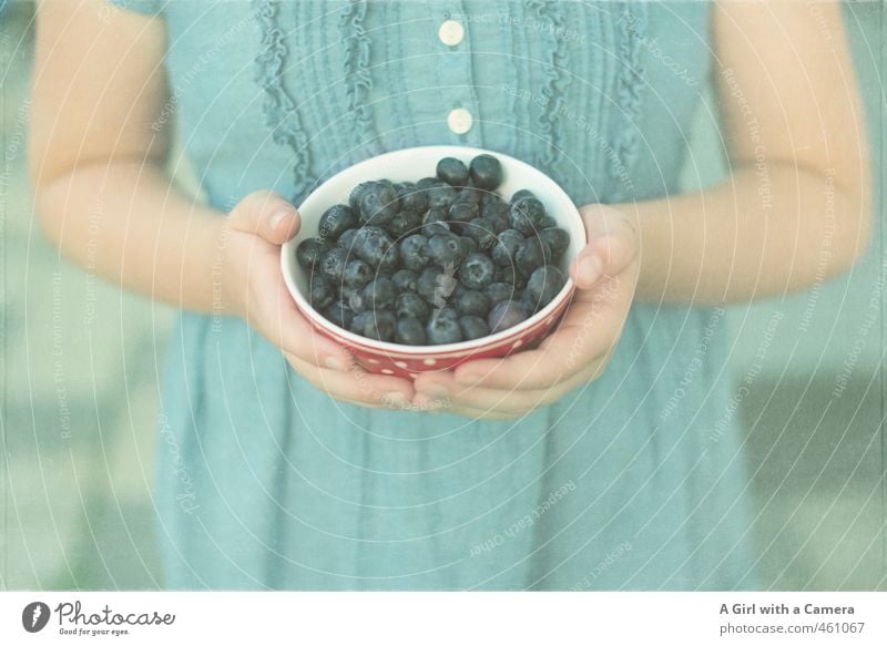 offerings Lebensmittel Frucht Blaubeeren Ernährung Bioprodukte Vegetarische Ernährung Diät Mensch feminin Mädchen Kindheit Arme Hand 8-13 Jahre blau stoppen