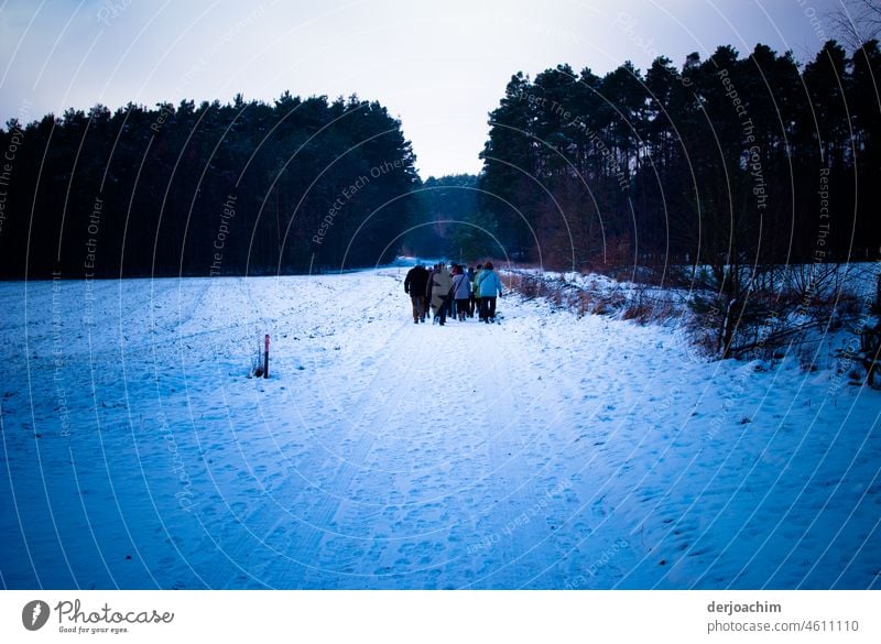 Ausflug  der Wander Gruppe im Schnee,  Richtung Wald. Wanderer Landschaft Natur wandern Außenaufnahme wanderlust Wandertag Umwelt Farbfoto Wanderausflug Outdoor