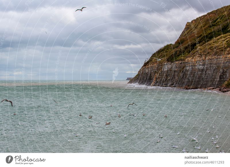 Am Strand Urlaubsstimmung Reise Bretagne Menschen Atlantikküste Ferien & Urlaub & Reisen Wasser Lifestyle Sand Menschengruppe Meer Küstenlinie reisen Tourismus