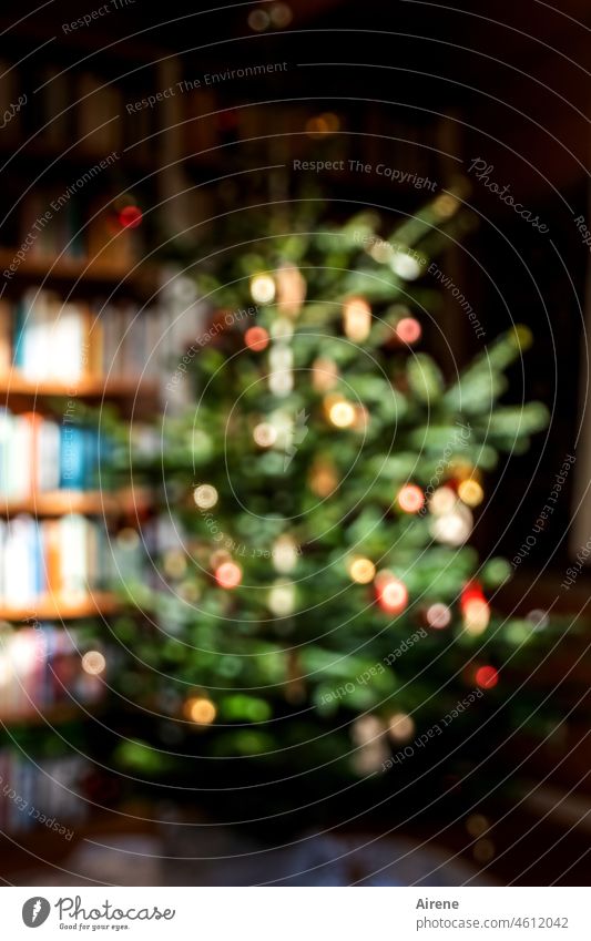 die Schönheit im Auge des Betrachters | schon wieder nur noch Erinnerung Weihnachten Weihnachten & Advent Romantik Stimmung Lichterscheinung grün rot leuchten