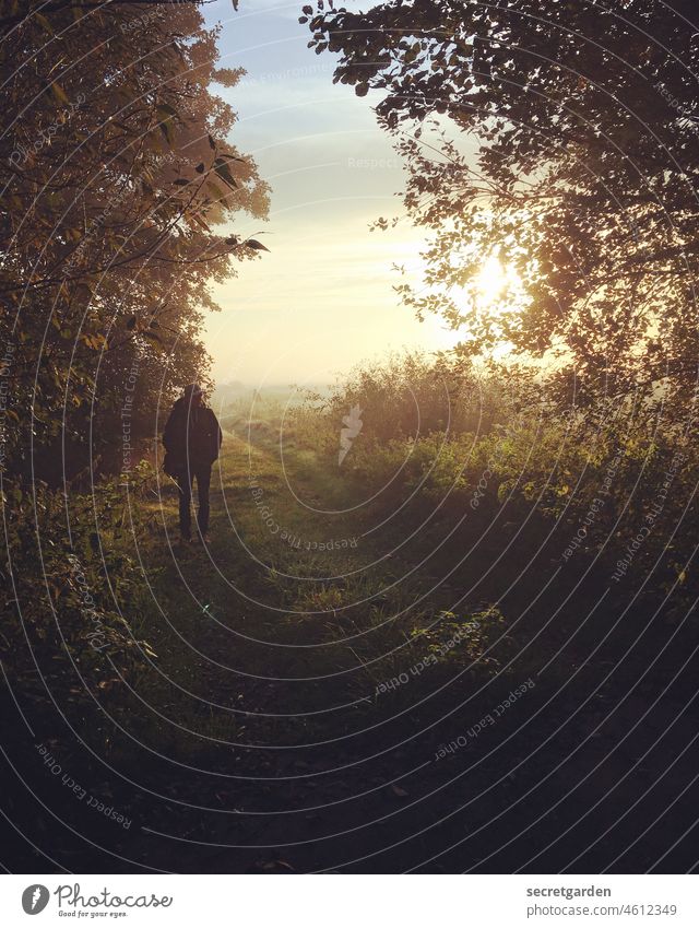 [Teufelsmoor 2021] Der Mann und der Wald. Natur Naturschutzgebiet Naturerlebnis Naturliebe Weg Sonnenlicht Sonnenaufgang Sonnenstrahlen Außenaufnahme Umwelt