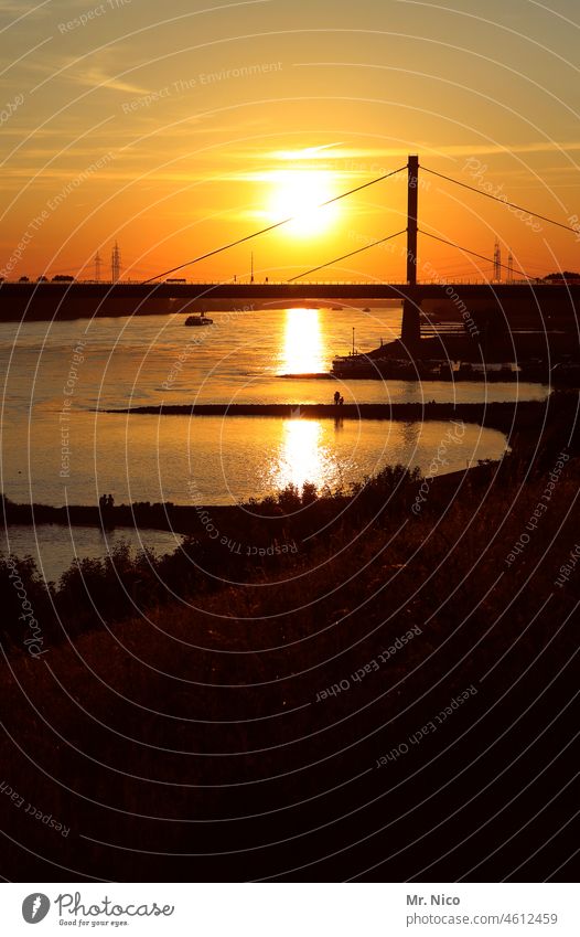 Rheinbrücke bei Sonnenuntergang Autobahnbrücke Bauwerk Brücke Architektur Wasser Verkehrswege Brückenkonstruktion Silhouette rheinbrücke Fluss Brückenpfeiler