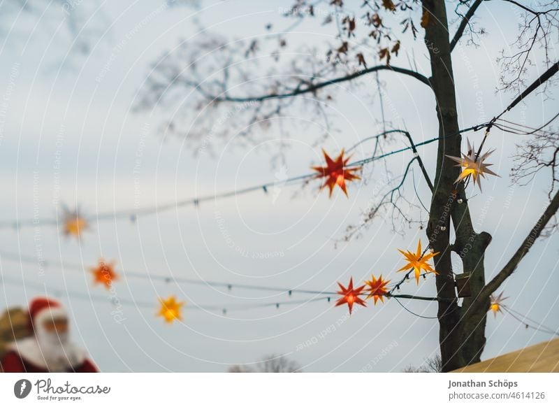 Weihnachtssterne im kahlen Baum im Winter trüb trüber Himmel rot leuchten Herrnhuter Stern Äste Tilt Unschärfe Bokeh Weihnachten hängen Deko Außendekoration