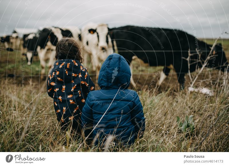 Rückansicht Kinder schauen zu Kühen Kindheit Geschwister Neugier Fröhlichkeit authentisch Freizeit & Hobby Außenaufnahme Freude 1-3 Jahre Mensch Farbfoto