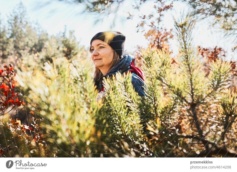 Frau genießt Wanderung an sonnigem Urlaubstag. Frau mit Rucksack zu Fuß durch den Wald Ausflug wandern Abenteuer reisen Sommer Reise laufen Fernweh Wanderer