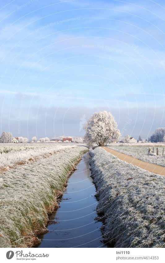 Wintertraum an der Hase Natur Landschaft schönes Wetter Stimmung Taumwetter verzauberte Landschaft Raureif Raureif am Morgen Bäume Gräser blauer Himmel Felder