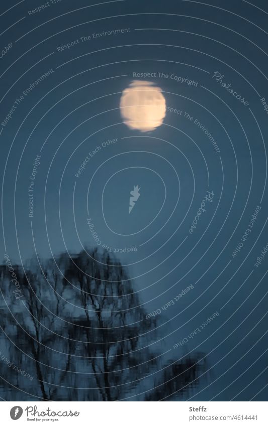 Blue Moonday Mond blau Mondschein Vollmond Mondlicht Mondaufgang dunkel Nachthimmel Mondspiegelung Mondlandschaft geheimnisvoll Wasseroberfläche verwaschen