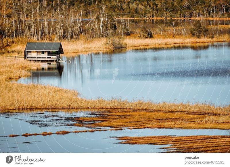 reinheitsgebot | naturschutzgebiet Hütte Wasser sauber Idylle Natur Landschaft Erholung Allgäu Winter kalt klar Umweltschutz See Naturschutzgebiet Seeufer Isny