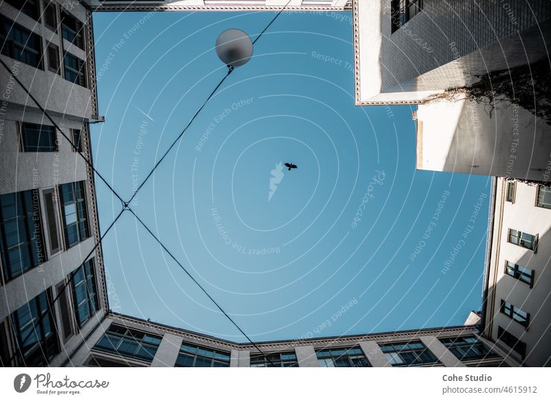 Ein Vogel am blauen Himmel zwischen vier Wänden Architektur Gebäude Stadt Blauer Himmel Fenster Wand urban Haus Wohnung Berlin architektonisch