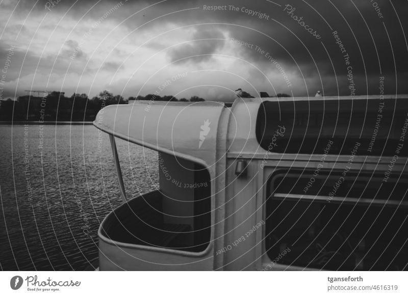 Möwen auf Hafenrundfahrtschiff Hamburg schlechtes Wetter dunkle Wolken Alster Vogel Wasser Außenaufnahme Himmel Hamburger Hafen Hafenstadt Schiff