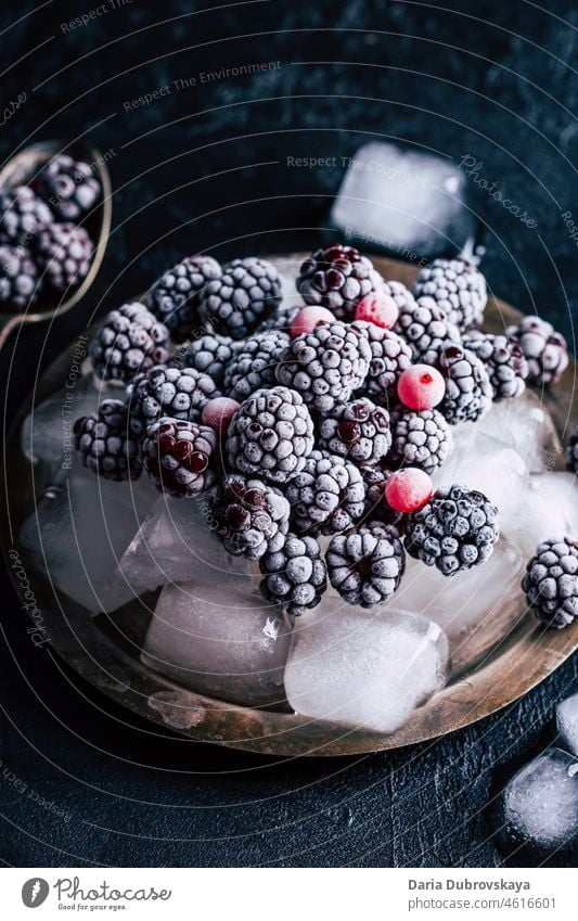 Gefrorene Brombeeren Sammlung bewahren viele Lifestyle Ernährung Dessert Nahaufnahme gefrorene Brombeeren Gesundheit Gefrierfach Wachstum frisch frostig